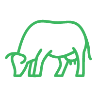 Cow ic