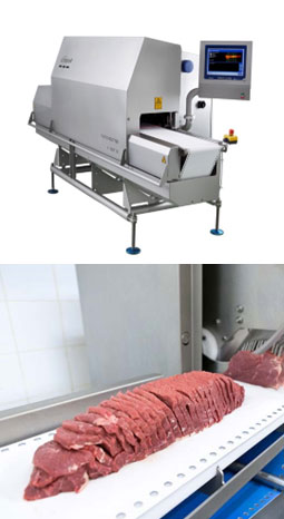 Portion slicer